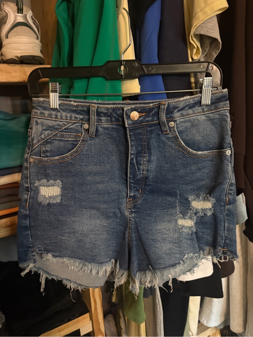 We The Free Distressed Denim Shorts in Blue